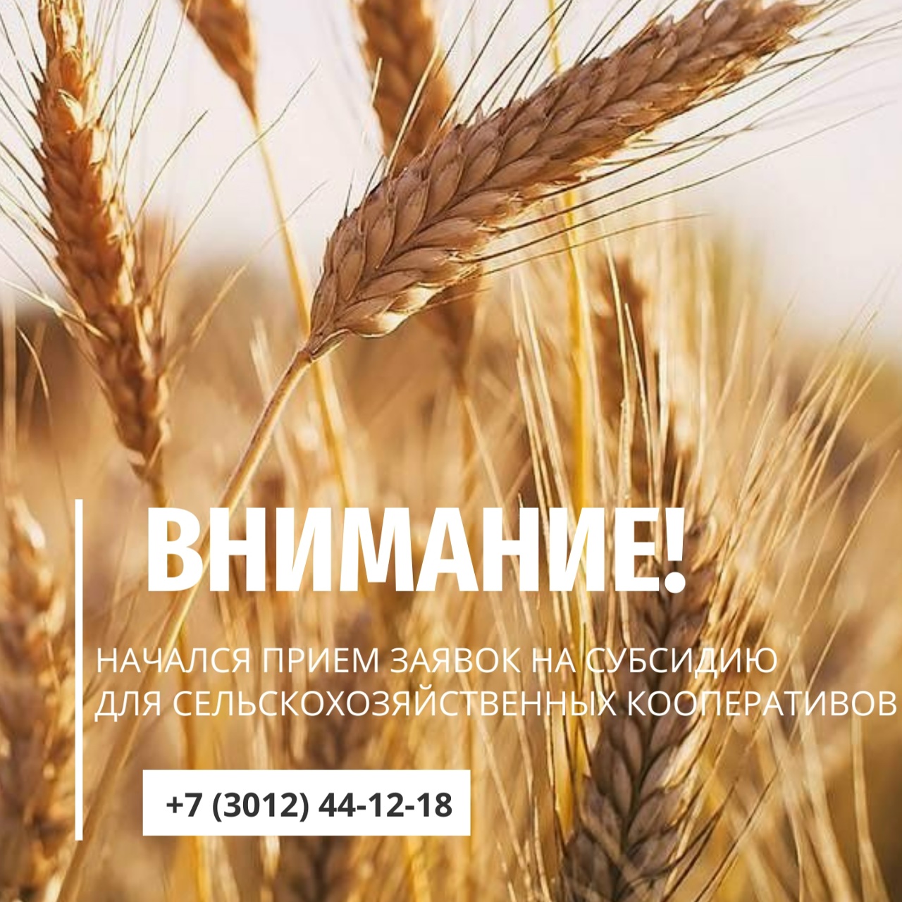 Минсельхозпрод объявляет приём заявок на субсидии для сельхозкооперативов